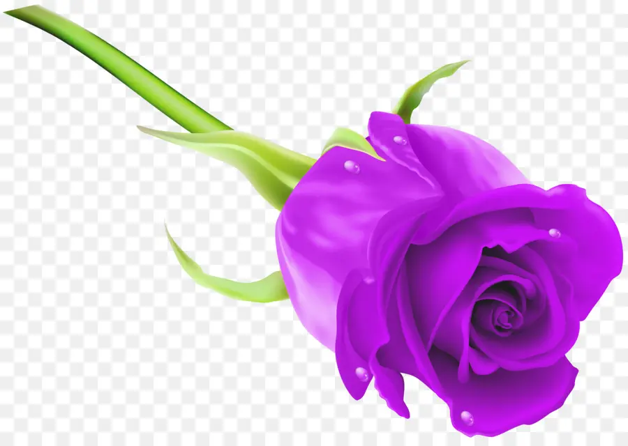 Rosa，Rosa Azul PNG