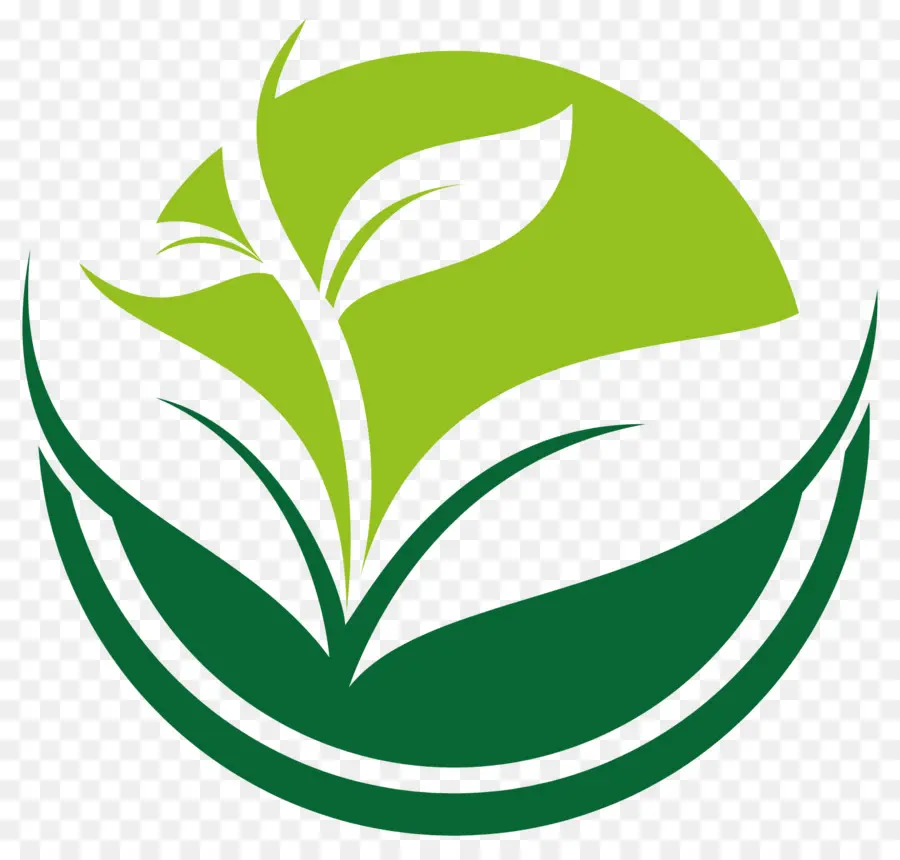 Ícone De Planta，Folha PNG