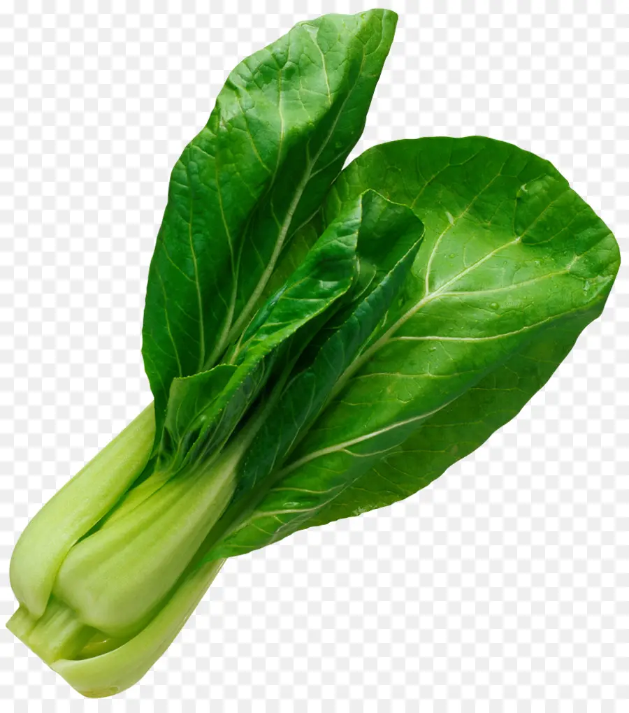 Bok Choy，Verde PNG