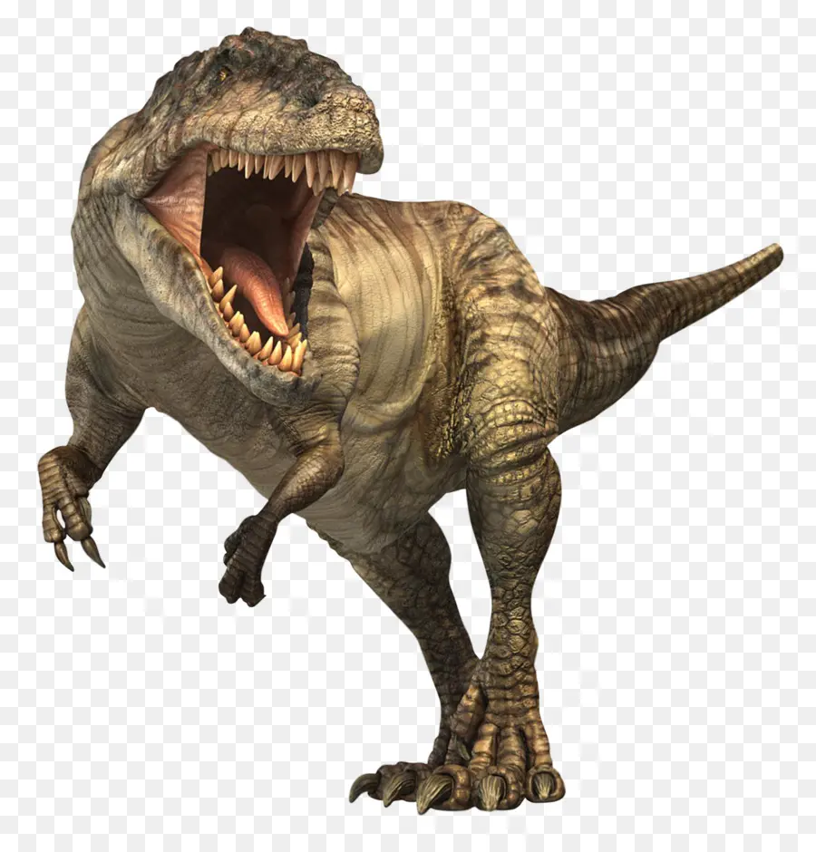 Giganotosaurus，Tiranossauro PNG