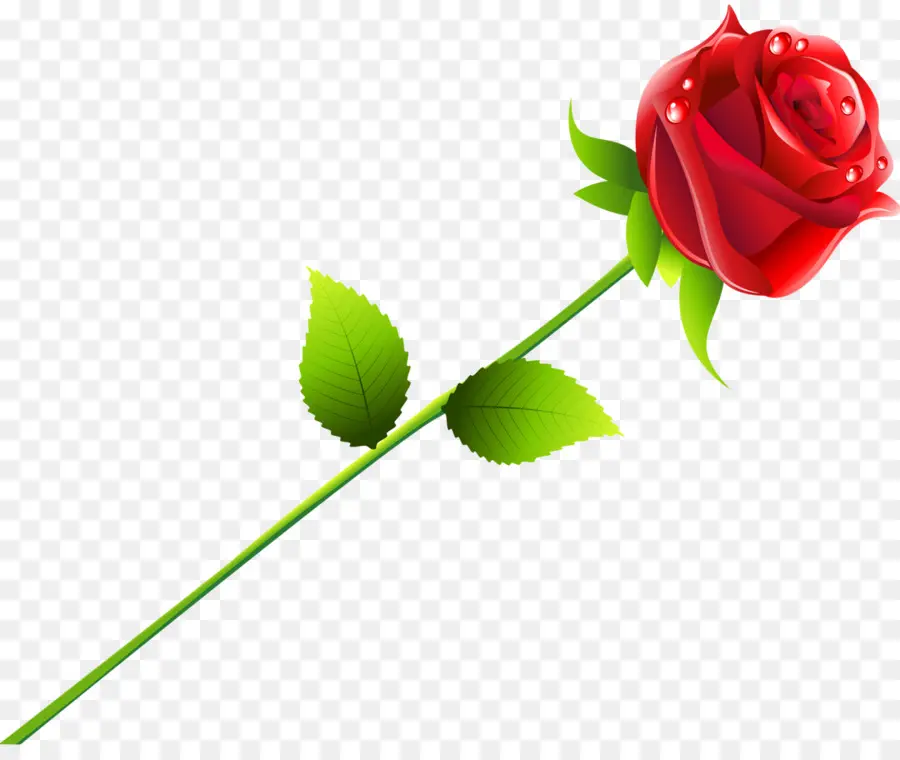 Rosa Vermelha，Florescer PNG