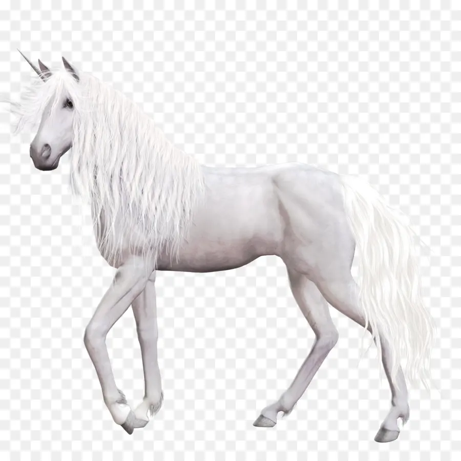 Cavalo，Unicórnio PNG