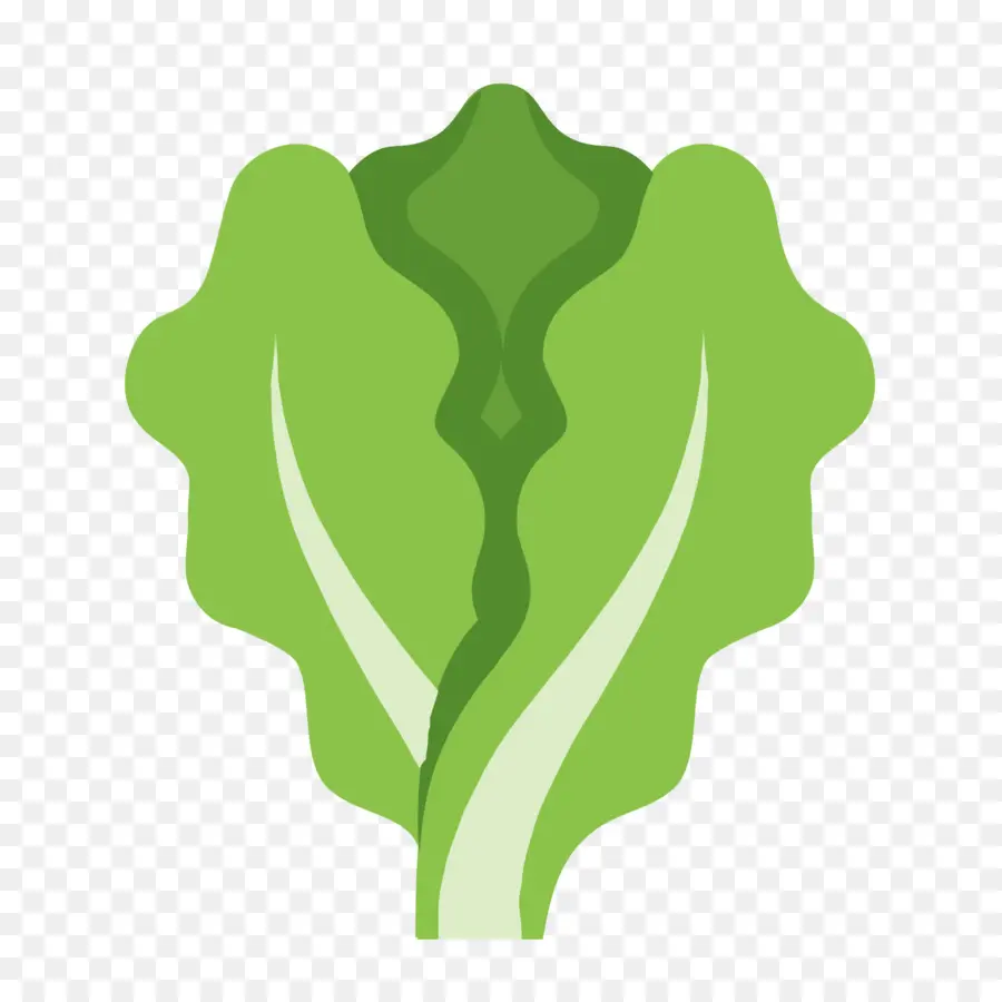 Alimentos Orgânicos，ícones Do Computador PNG