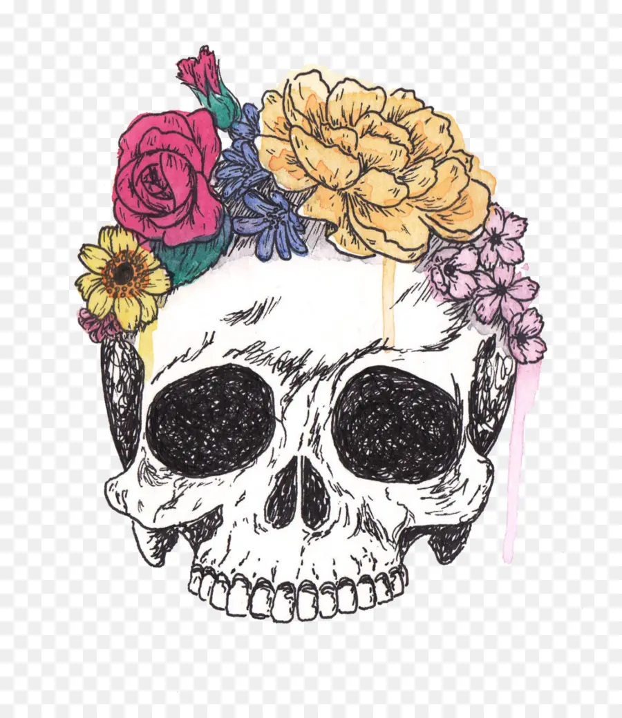 Crânio，Calavera PNG