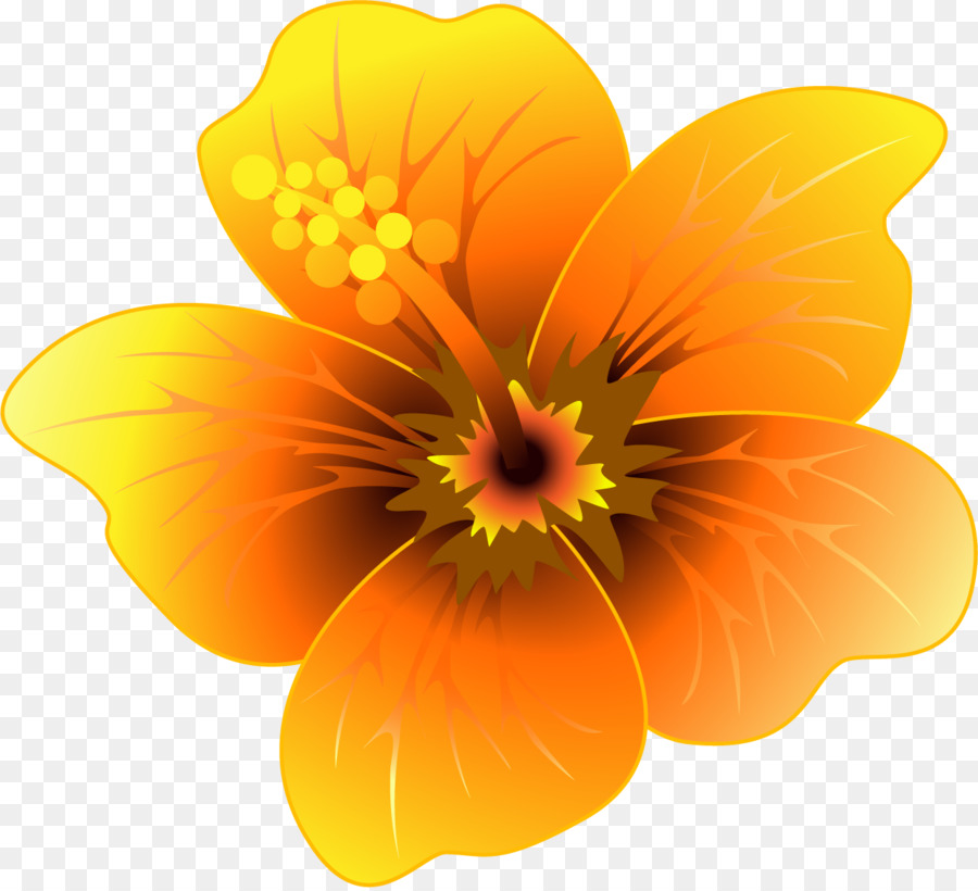 Flor，Amarelo PNG