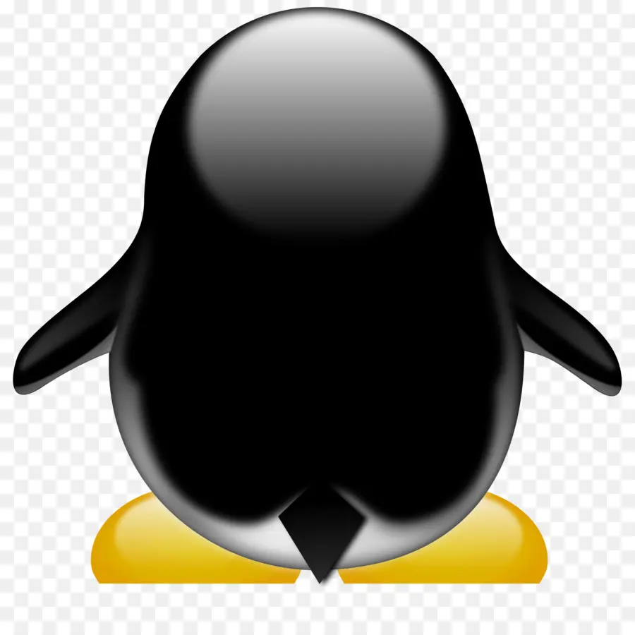 Pinguim，Preto PNG