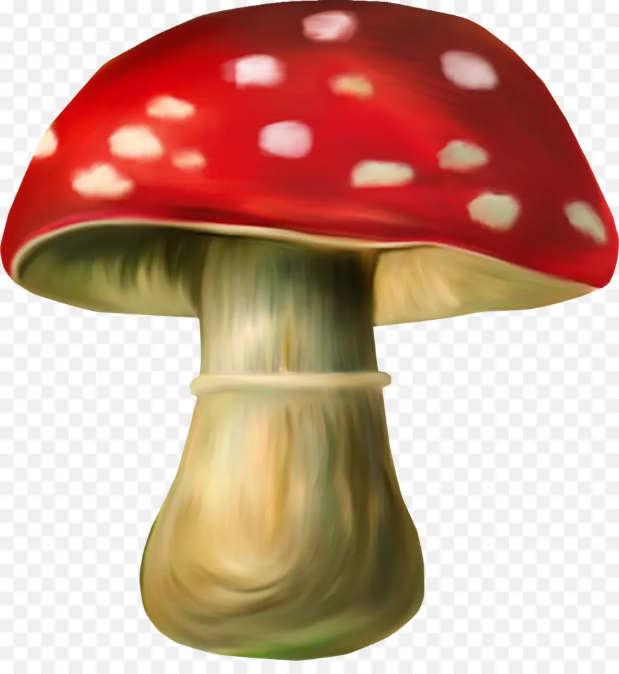 Gnome，Cogumelo PNG