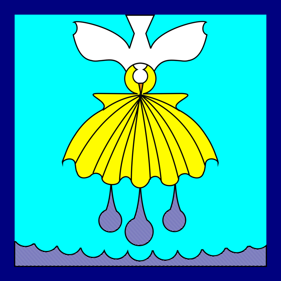 Borboleta，Seashell PNG