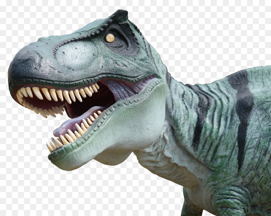 Dinossauro，Pré Histórico PNG