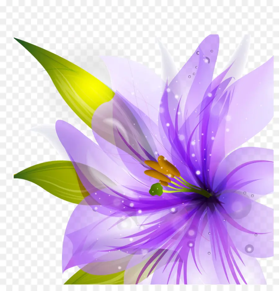 Flor，Borda Flores PNG