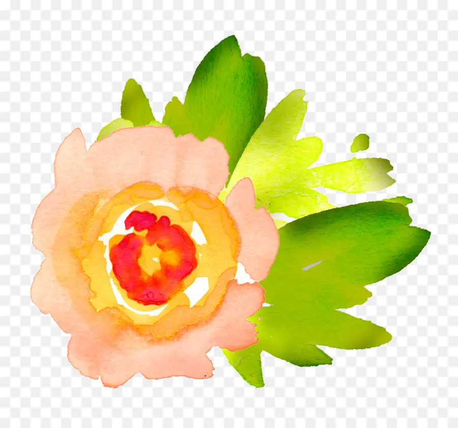 Aquarela Flores，Pintura Em Aquarela PNG