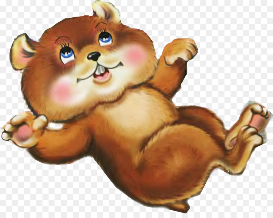 Urso，Animais PNG