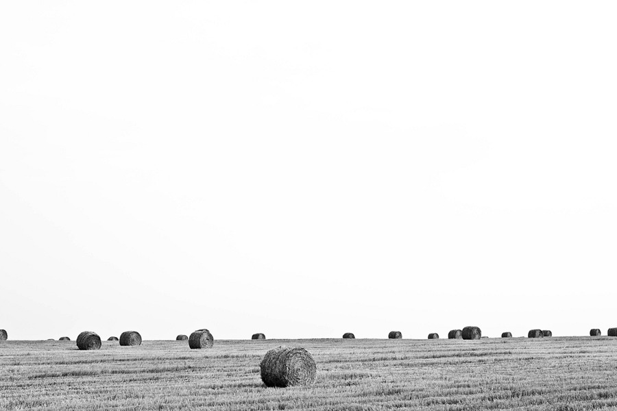 Agricultura，Youtube PNG