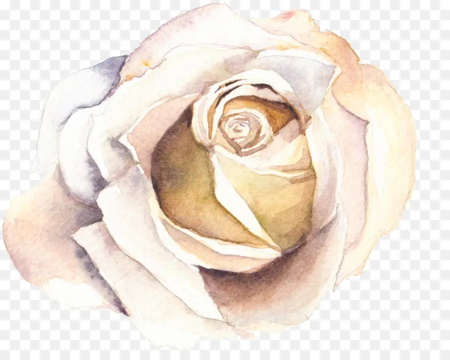 Aquarela Flores，Pintura Em Aquarela PNG