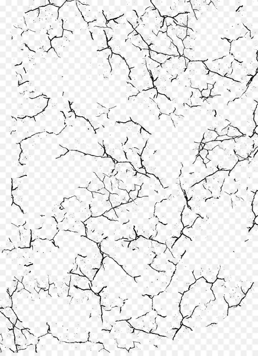 Mapeamento De Textura，Preto E Branco PNG