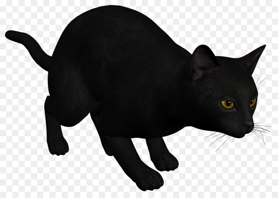 Gato Preto，Pelagem PNG