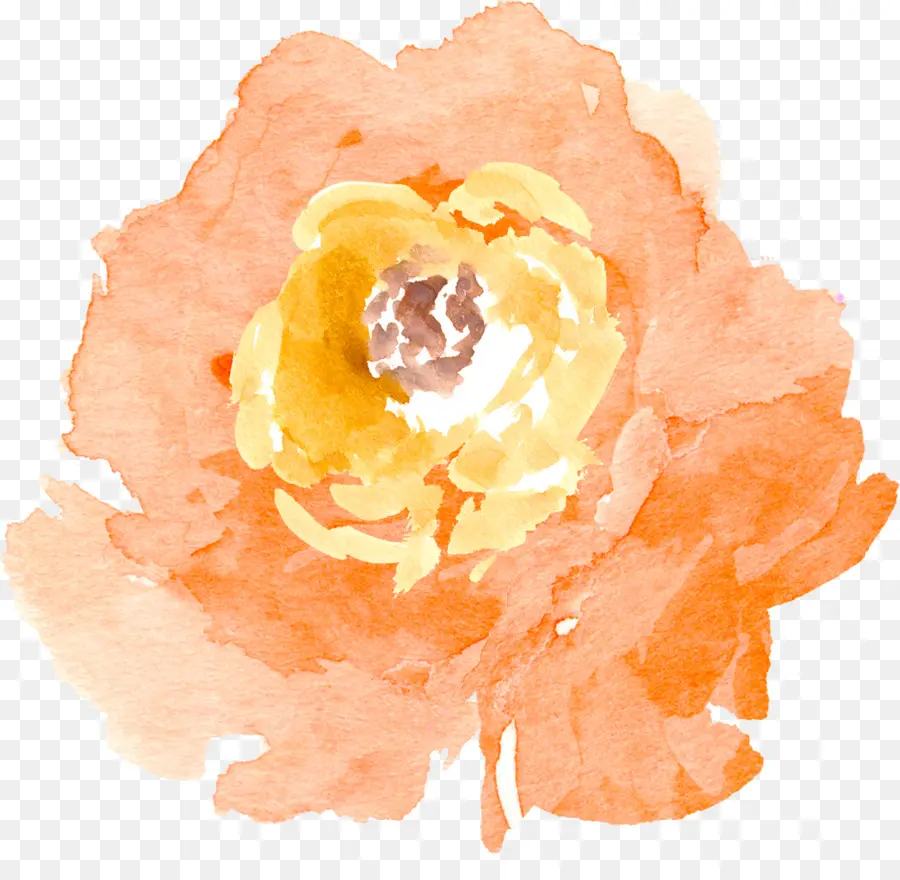 Pintura Em Aquarela，Flor PNG