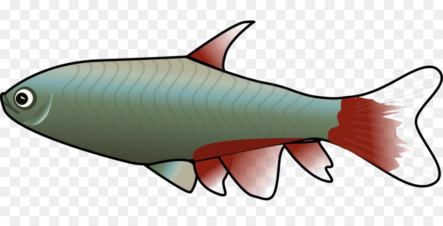 Peixe，Verde PNG