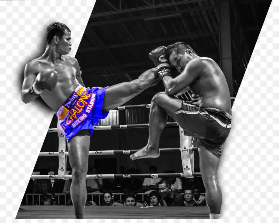 Muay Thai，Esporte De Combate PNG