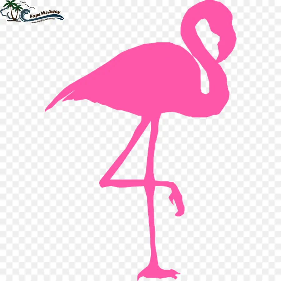 Flamingo Rosa，Pássaro PNG