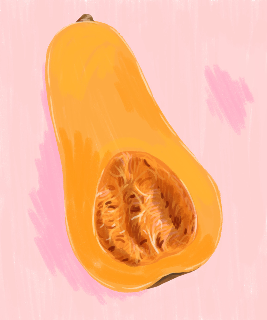 Cucurbita，Squash PNG