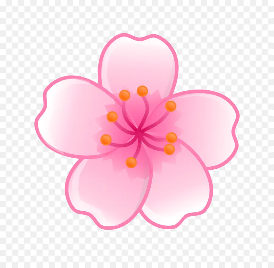 Flor Rosa，Florescer PNG