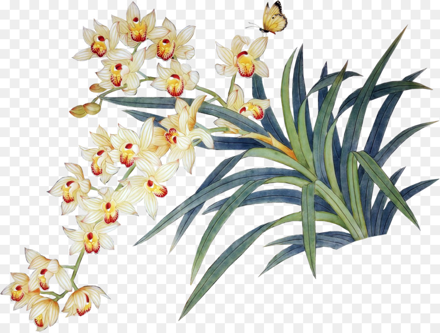 Flores De Orquídea，Florescer PNG