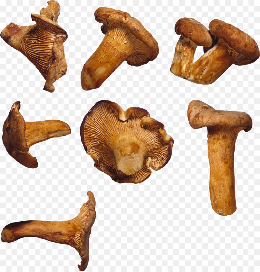 Cogumelos，Comida PNG