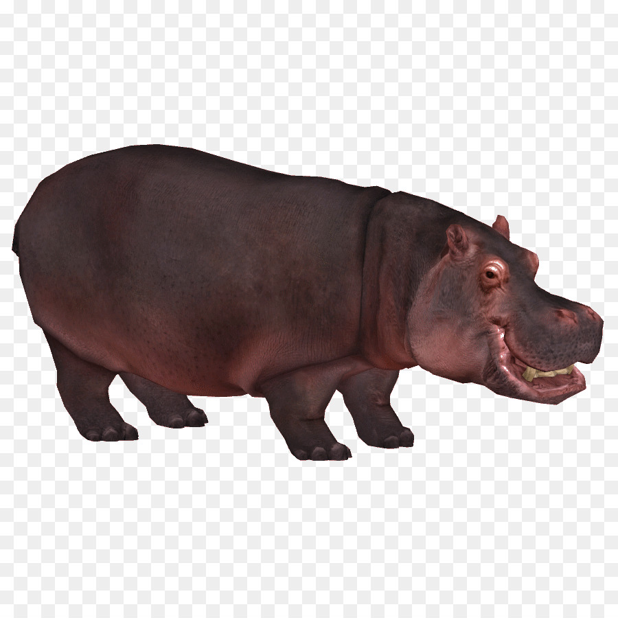 Zoo Tycoon 2，Hipopótamo PNG