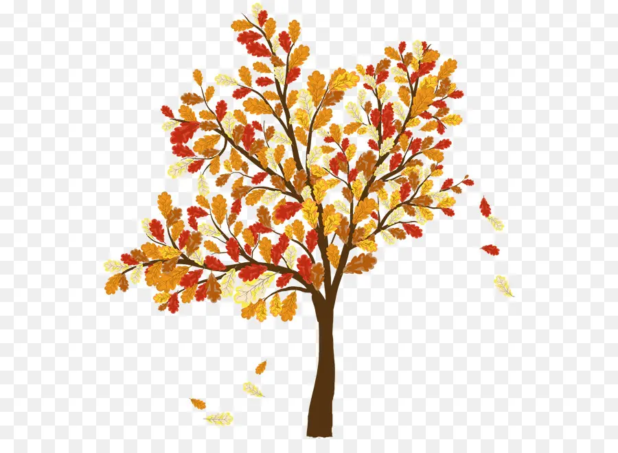 Clip Art Para O Outono，árvore PNG