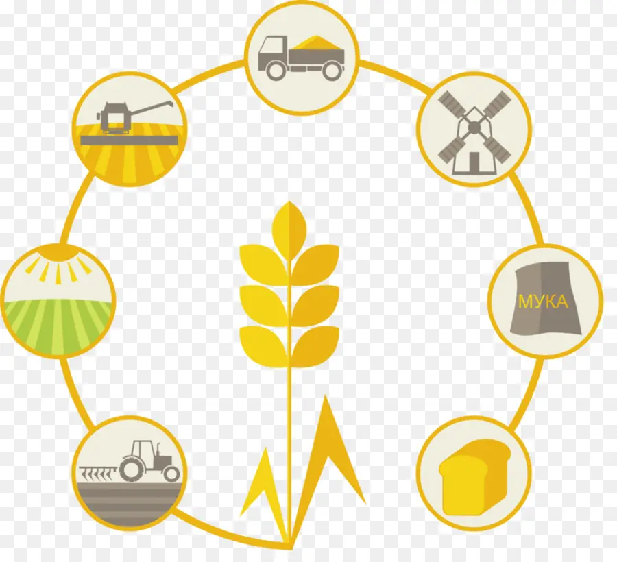 Ciclo Do Trigo，Agricultura PNG