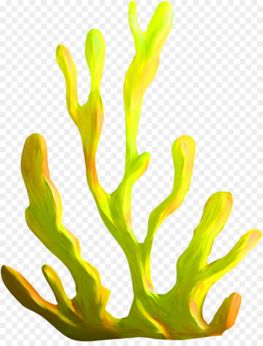 Algas Marinhas PNG , Clipart De Algas, Coral, Algas Marinhas PNG