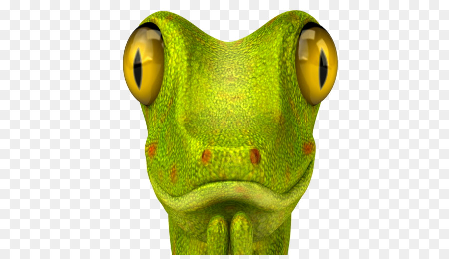 Sapo Verde，Sapo PNG