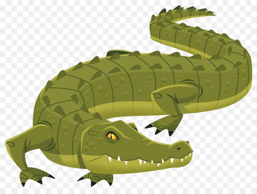 Crocodilo，Jacaré PNG