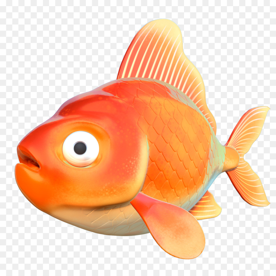 Peixe，Aquático PNG