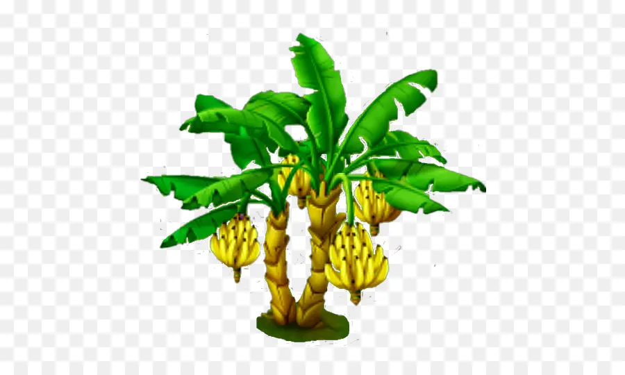 Bananeira，Banana PNG