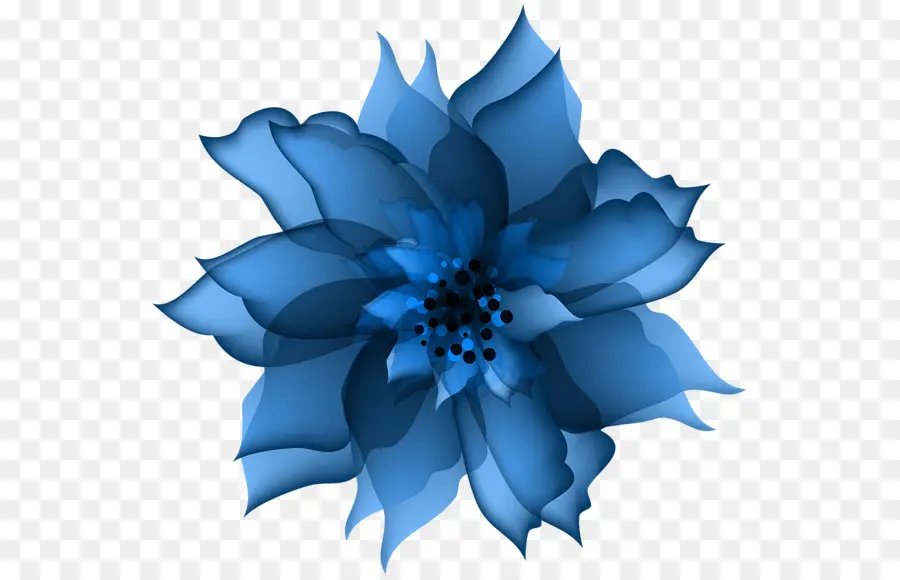 Flor Azul，Pétalas PNG