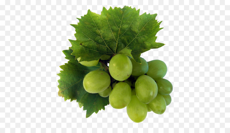 Uvas Verdes，Folha PNG