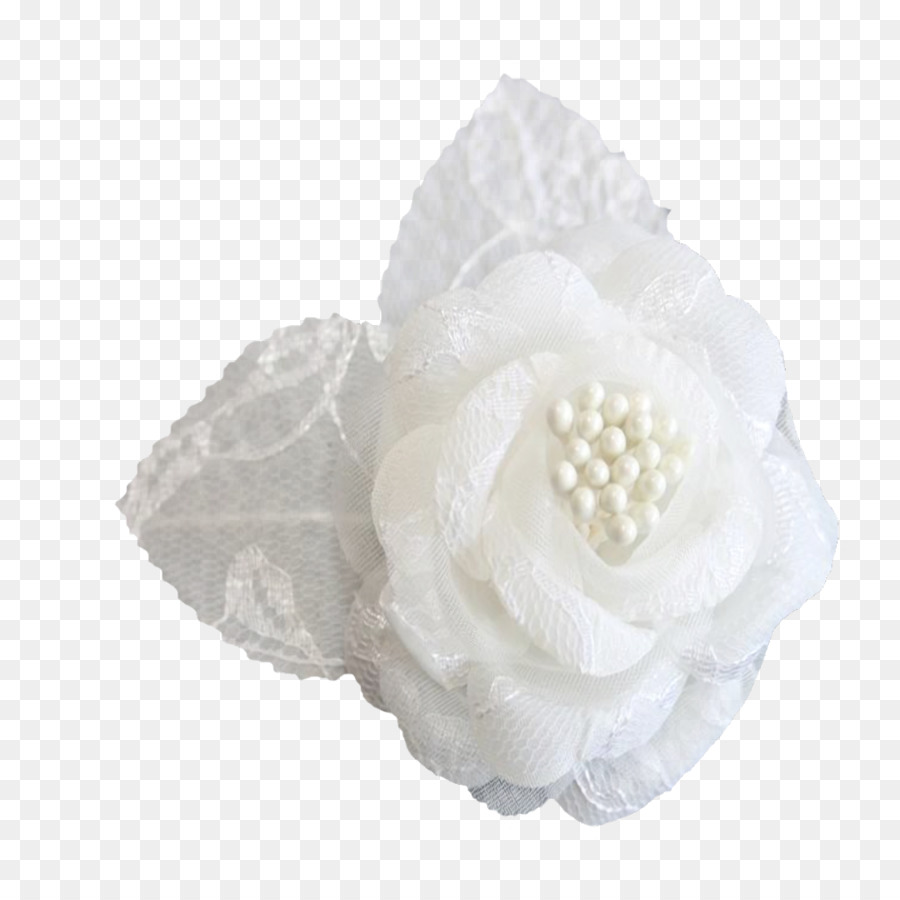 Flor Branca，Florescer PNG