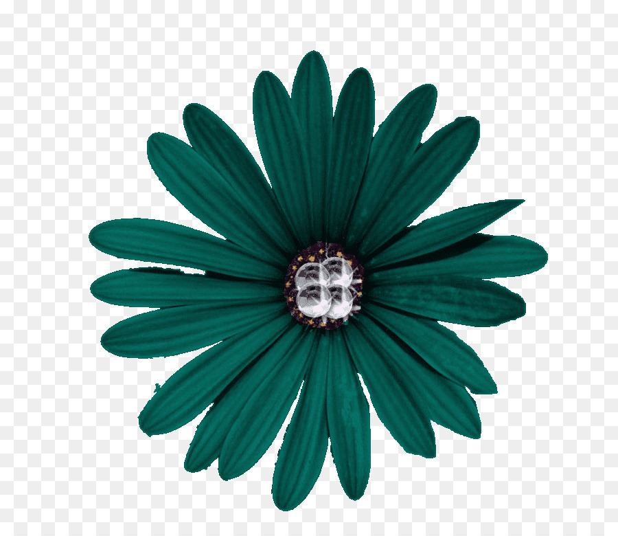 Flor，Florescer PNG