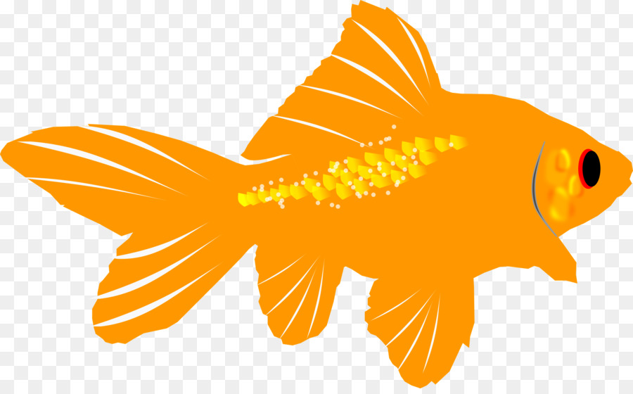 Peixe Dourado，Peixe PNG