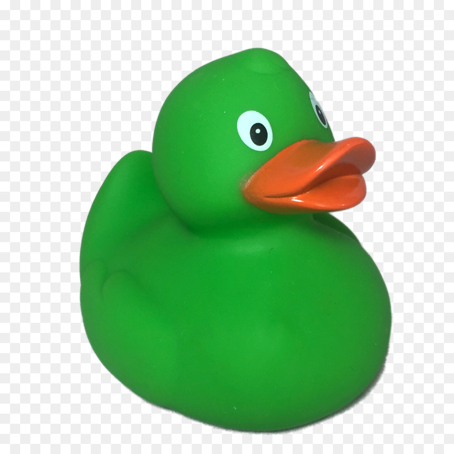 Pato，Pássaro PNG