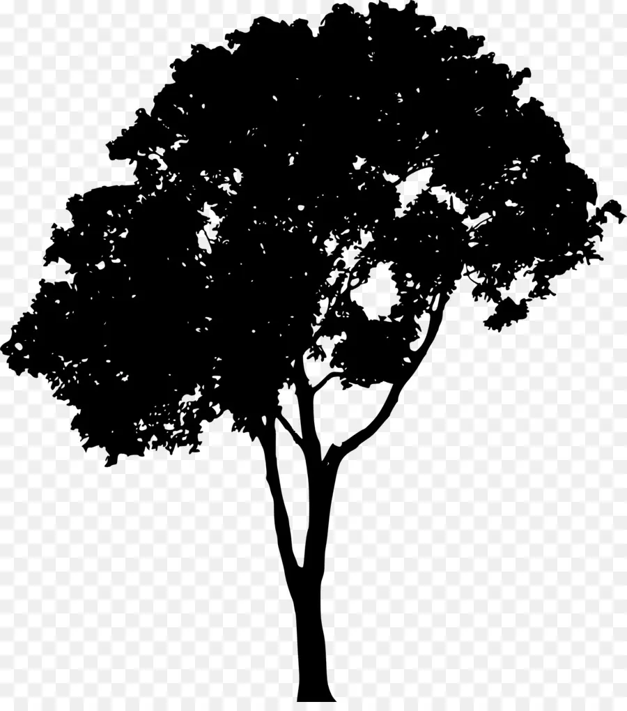 árvore，Silhueta PNG