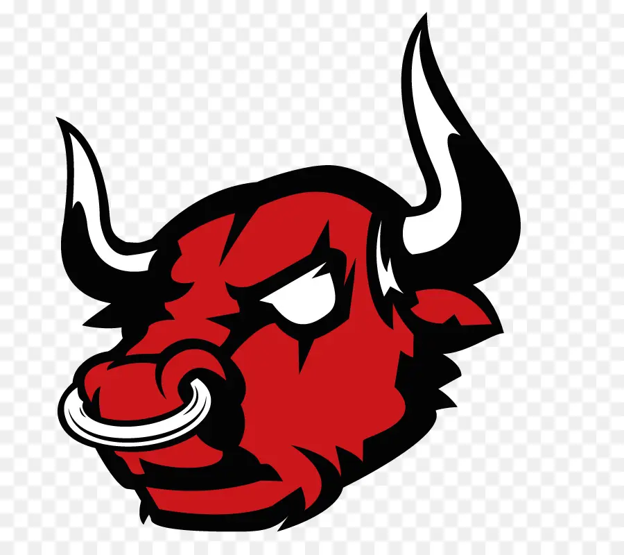 Barletta，Chicago Bulls PNG