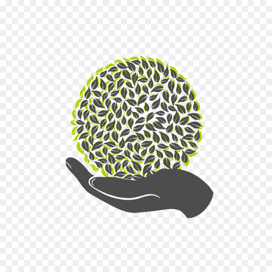 Mão Segurando Planta，Verde PNG