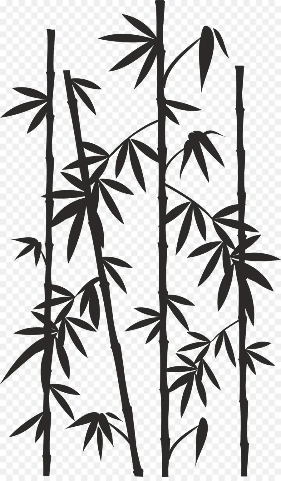 Papel，Bambu PNG