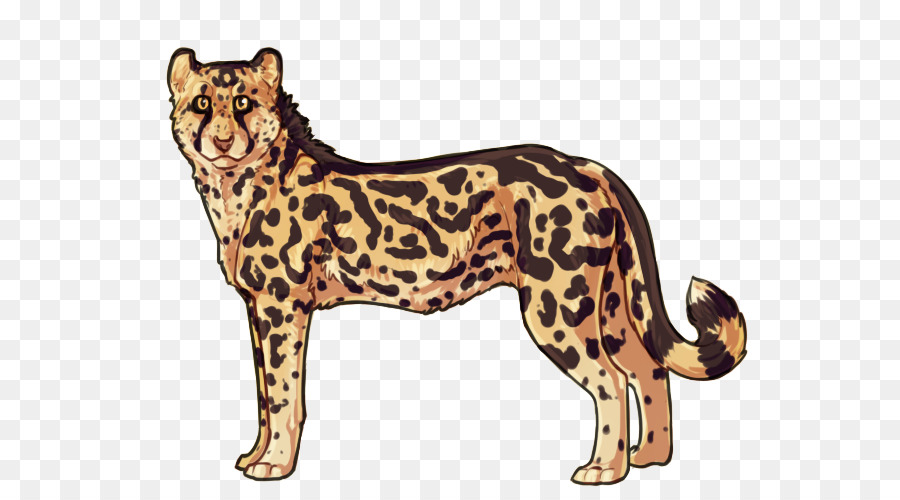 Felidae，Gato PNG