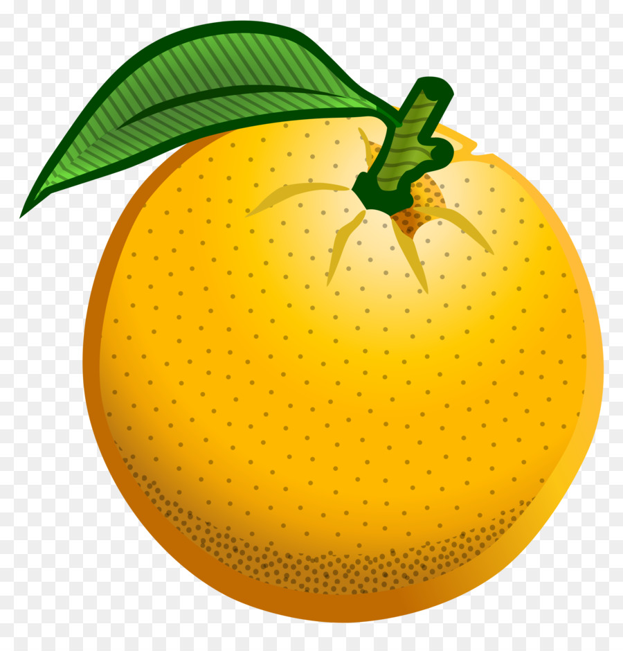 Laranja，Folha PNG