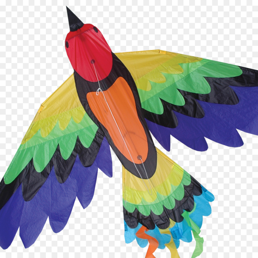 Aves，Kite PNG