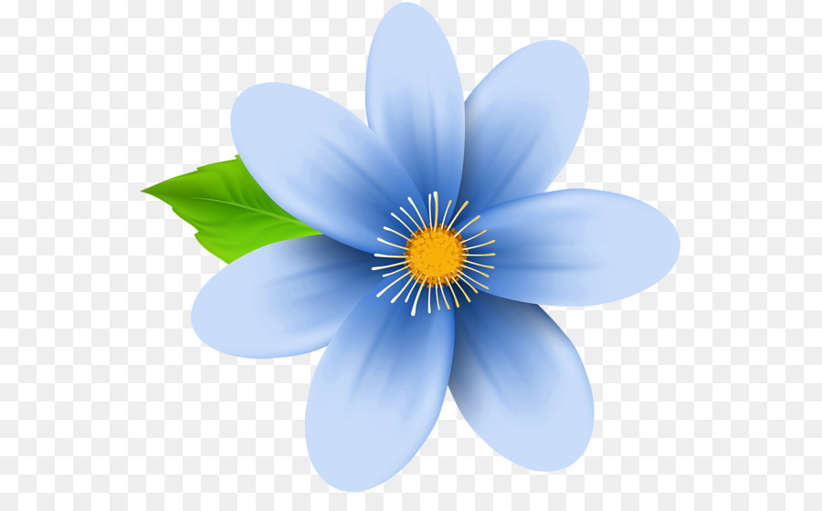 Flor, Azul, Papel De Parede Da área De Trabalho png transparente grátis